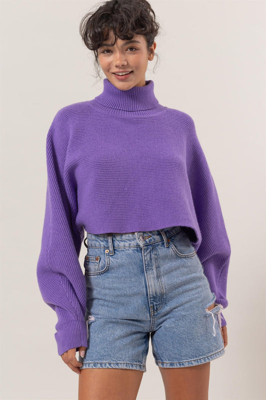 Turtleneck Cropped Sweater